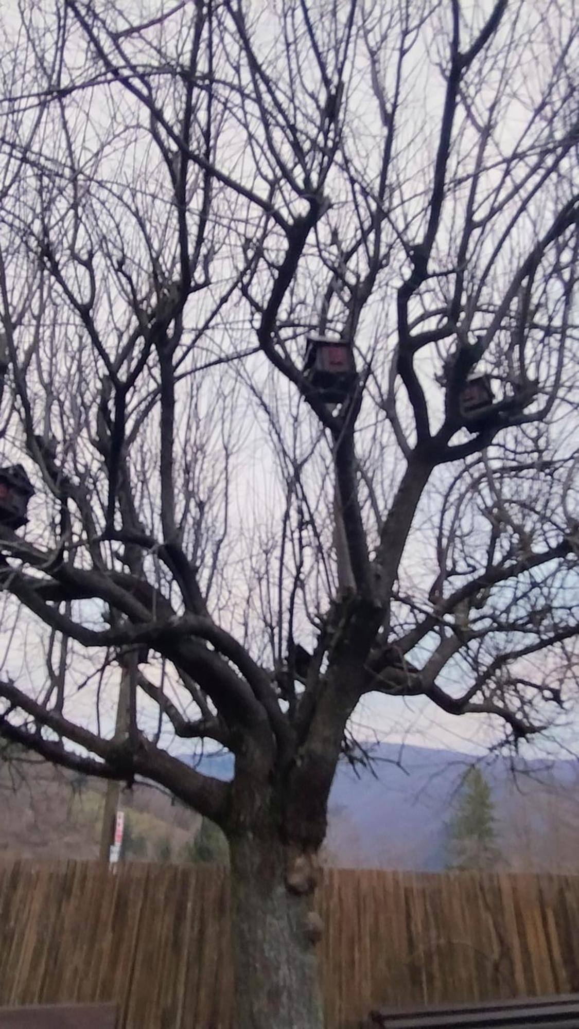 Baita La Stradella Serravalle  Εξωτερικό φωτογραφία
